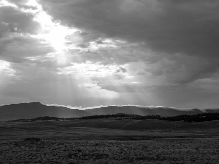 Living Inside of Grief (Part I)